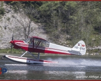 TSR Watermark - 0235